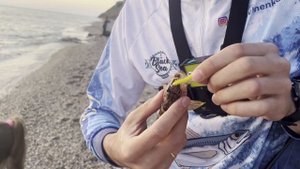 Мощная поклевка Горбыля, рыбалка в Черном море сезон 2023.