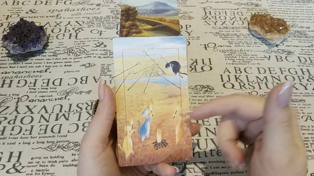 The Feline Rider Tarot. Кошачий всадник. Обзор + Совет от карт.