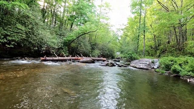 Exploring North Georgia's Best Kept Secret: Epic Trout Fishing Adventures Await! смотреть онлайн