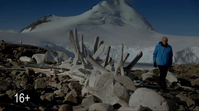 24_DOC: ДЕСЯТЬ ФИЛЬМОВ ГОДА смотреть онлайн