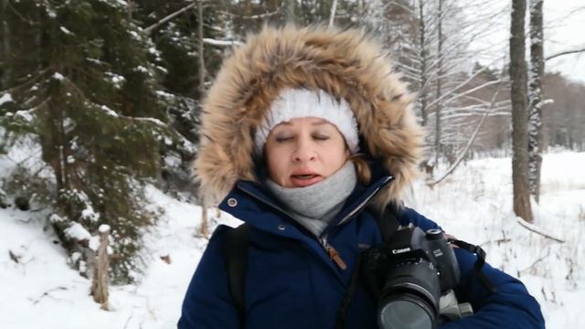 Озеро Светлояр - cвятыня Нижегородчины /  Храм-часовня в честь Казанской Иконы Божией Матери
