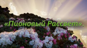 "Пионовый Рассвет".