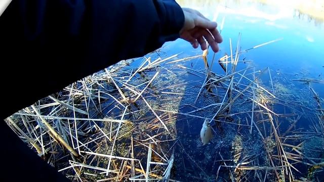 Ловля на пробку весной, секреты ловли смотреть онлайн
