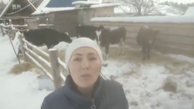 Обзор всего хозяйства. Топим русскую печь. Морозец. смотреть онлайн