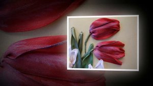 Мои новые работы. Вышивка лентами. Разживалова Наталья