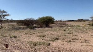 SPITZKOPPE VILLAGE ERONGO REGION CENTRAL NAMIBIA SOUTHERN AFRICA