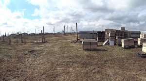 Первые работы на пасеке