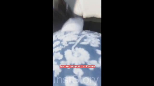 Ида Галич с мужем Аланом в медовый месяц в Италии смотреть онлайн