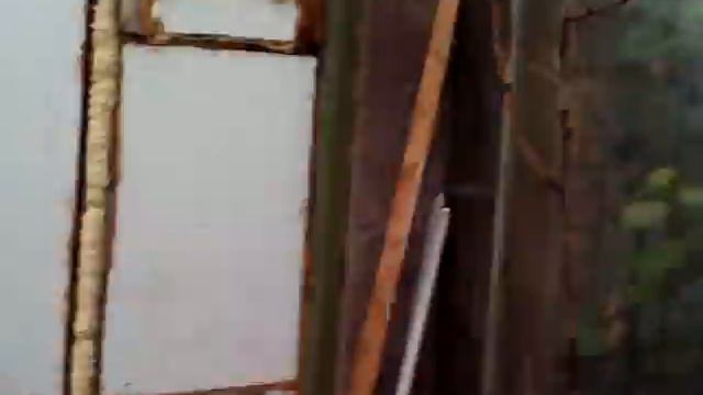 Видео из теплицы - в гостях у Александра (Самоделкина) смотреть онлайн