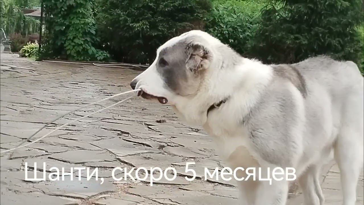 Ремонтируем!!!