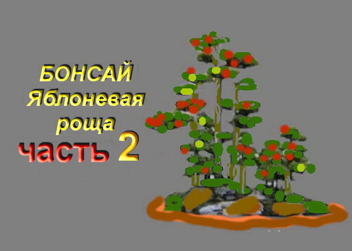 2.Бонсай  Лес из яблонь часть 2Bonsai Grove from apple trees