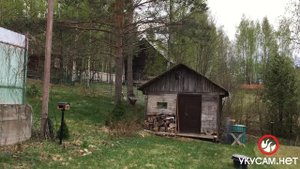 Обработка дачного участка от клещей (Уничтожение клещей 2022 4)