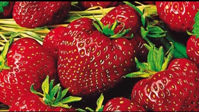 Дачники Подготовка и посев семян садовой земляники для выращивания в открытом и защищённом грунте смотреть онлайн