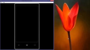 Проектор экрана Project My Screen для Windows Phone 8.1
