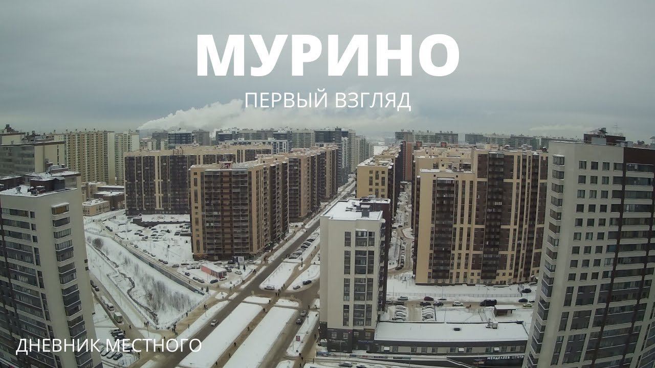 Мурино. Серия 1. Первый взгляд // Дневник местного