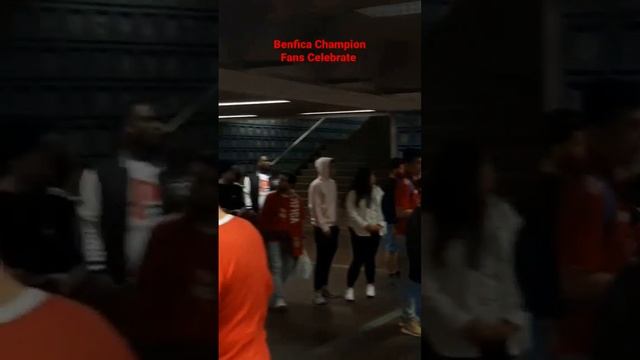 Champion Benfica. Fans celebration outside stadium  #benfica #portugal #football