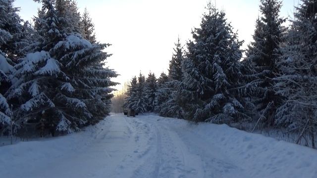 Дикая ТРЕШ Колонка от MOMO BD-5000.1 смотреть онлайн