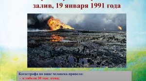 видео 1  Всемирный день защиты животных.mp4