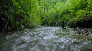 5D Шум ручья для медитации