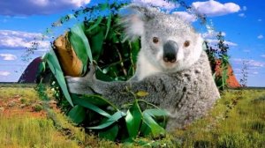 В гости к детям разных стран