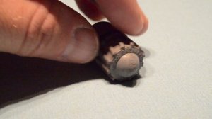 Ammo Test! 12 Gauge Rifled Foster Slug - Royal Brenneke