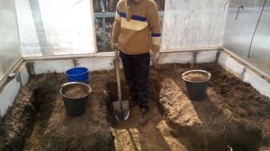 Солнечный вегетарий