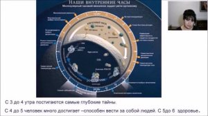 Как восстановить гормональную систему с продукцией Джанес