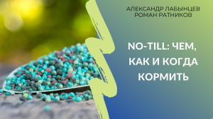 No-till: чем, как и когда кормить