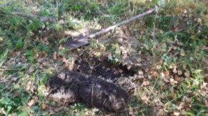 Плодородие почвы БИОгумус Живая Почва что такое