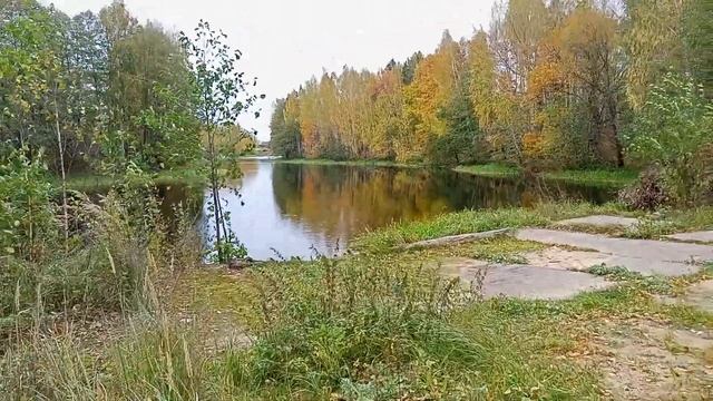 участок на берегу речки в селе Нижний Красный Яр смотреть онлайн