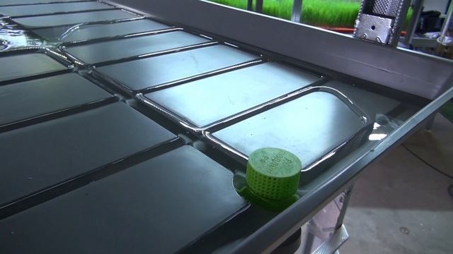 Недорогая и простая гидропонная установка. Своими руками.