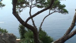 Италия, Амальфитанское побережье, фильм 10: Капри, Трагара / Italy, Amalfi Coast, 10: Capri, Tragar