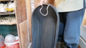 интересно сколько весит взрослая перепелка