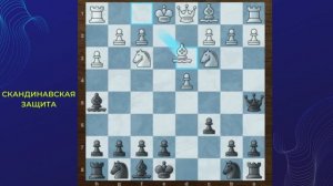 Скандинавская защита. Шахматы