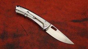 Lion Steel TS1GS TiSpine Grey Shine