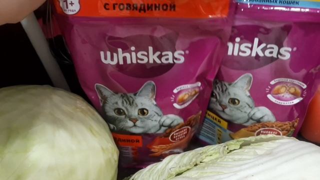 Небольшая закупка продуктов из магазина "Магнит"?