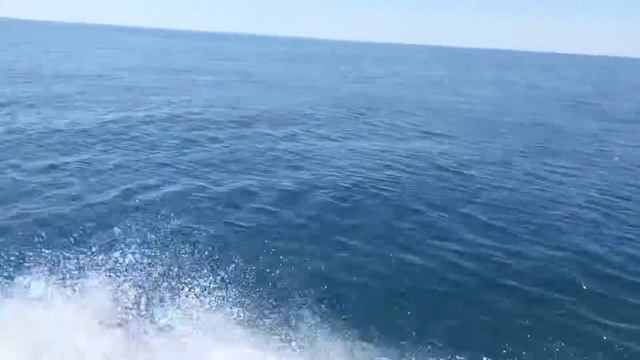 Такое волнение называют «мертвячок» смотреть онлайн