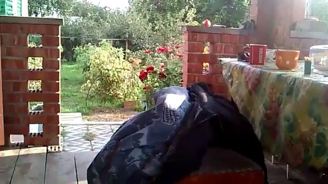 Яблоко с червячком смотреть онлайн