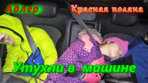 Адлер/ Красная поляна, каток и утухли в машине