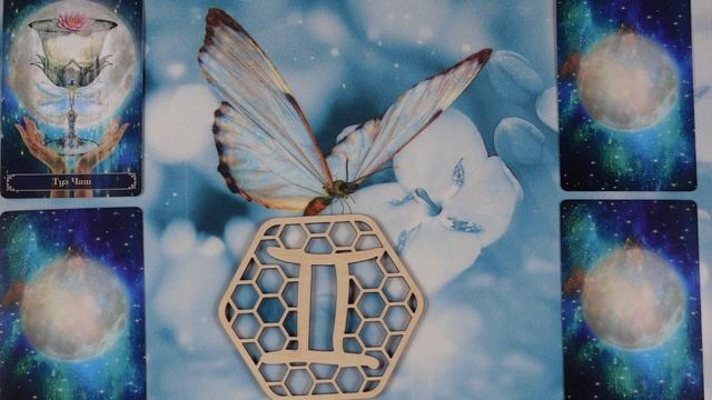 БЛИЗНЕЦЫ. ИЗ ГУСЕНИЦЫ В БАБОЧКУ ИЛИ СТАДИИ СЕПАРАЦИИ. #бабочка, #метаморфоза, #сепарация, #близнецы смотреть онлайн