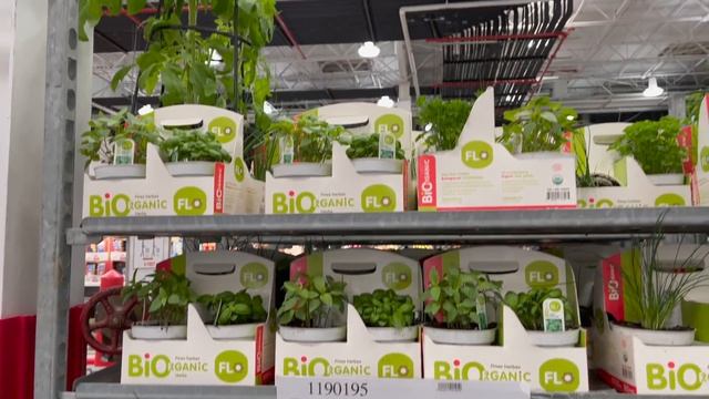 Сколько стоят продукты в Нью-Йорке. Идем в супермаркет за продуктами вместе! #NewYork смотреть онлайн