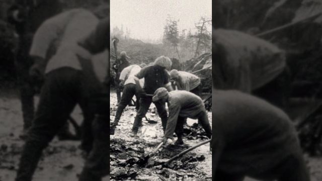 людоеды ГУЛАГа #карлаг #ик #лагерь #факты смотреть онлайн