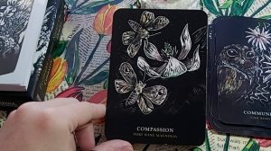 Flowers of the Night Oracle by Cheralyn Darcey. Обзор оракульной колоды.