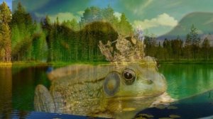 Три желания лягушка  ( Собственное исполнение )