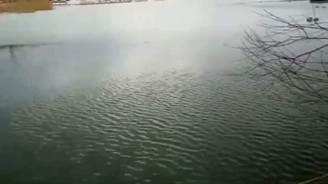 Горячий ключ / Спокойствие, только спокойствие / 3 февраля смотреть онлайн