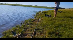 Бешеный клев сазана в начале лета!!! Сазанья рыбалка в Татарстане. День первый.