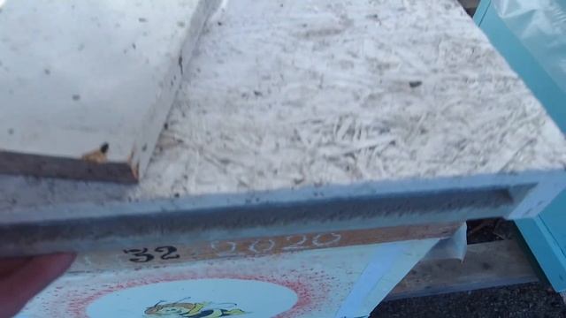 Будни пчеловода  Пришла зима как же пчёлы