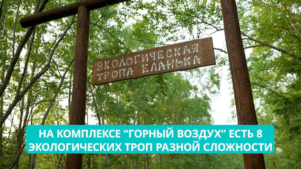 Побыть наедине с природой. Экологические тропы Южно-Сахалинска