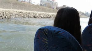 Река дунай в будапеште