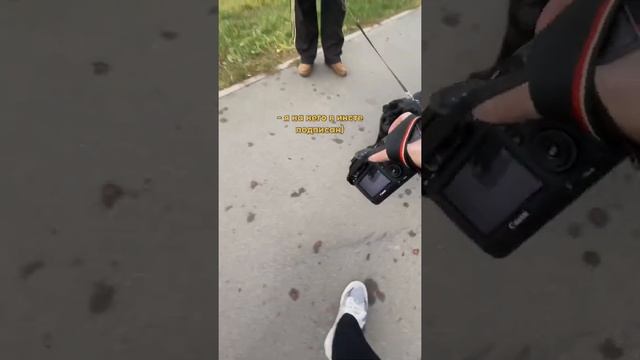 Встретил чёрного мопса и провёл ему фотосессию ? смотреть онлайн